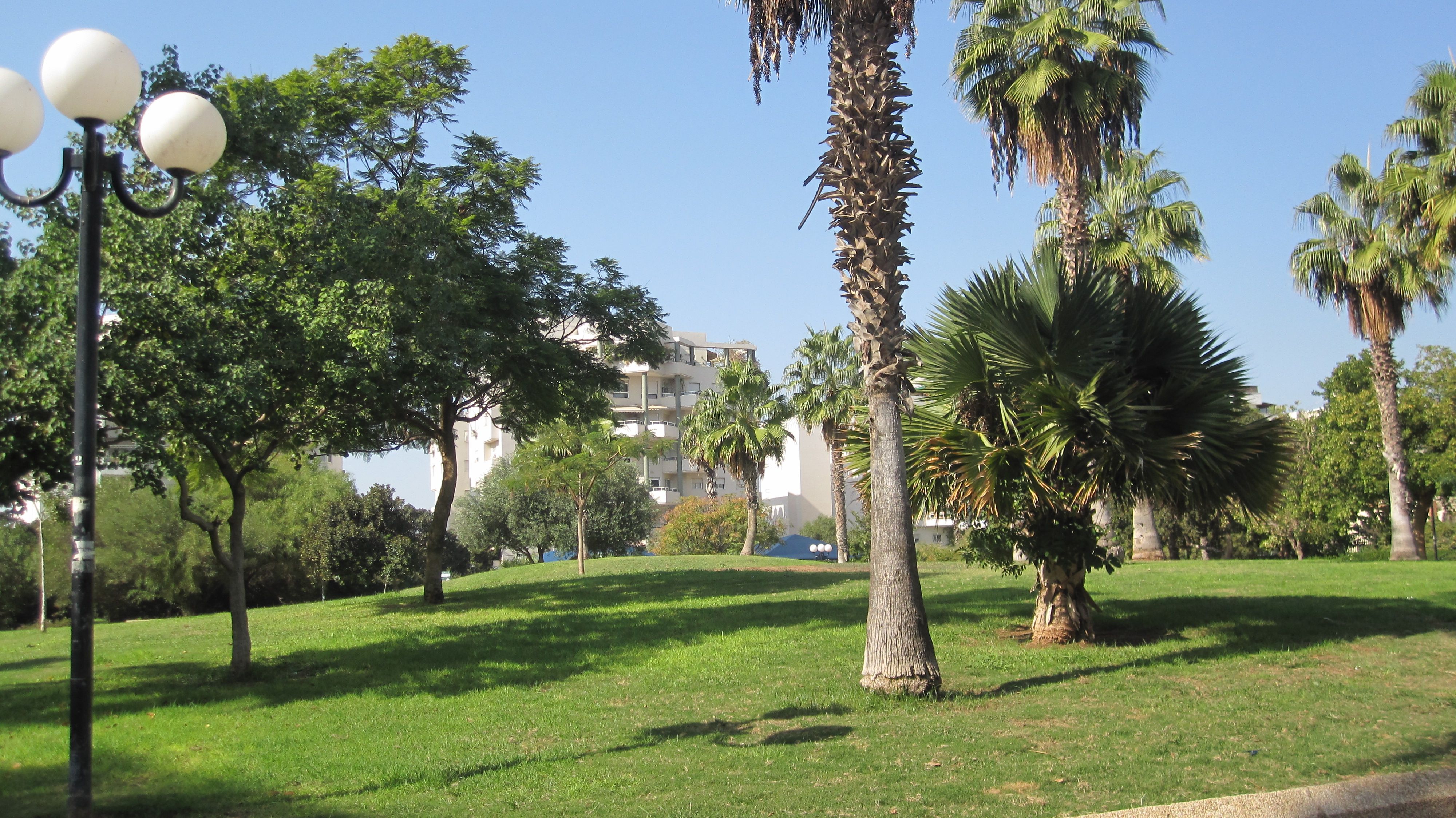 מהסמארטפון שלי